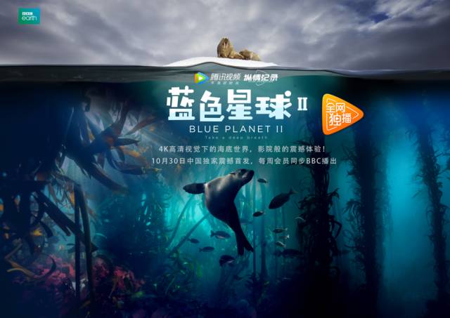 杨贵妃传媒官网剧照2