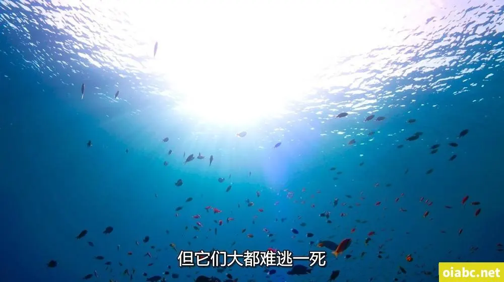 深夜保健室剧照1